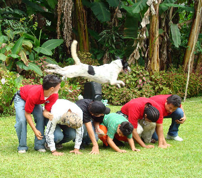 These Panamanian young men had trained their dog to jump over them all