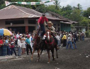 Boquete is located in the Chiriqui Province in Panama, which is known as the Texas of Panama.   Rodeos and calf roping are common